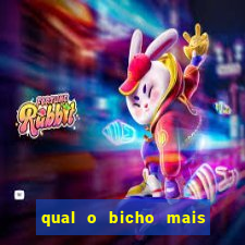 qual o bicho mais velho da loteria dos sonhos